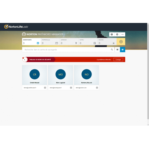 Interface Password Manager - Norton 360 Deluxe 2024