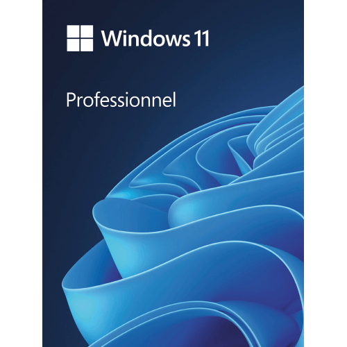 Windows 11 Professionnel - Meilleur système d'exploitation