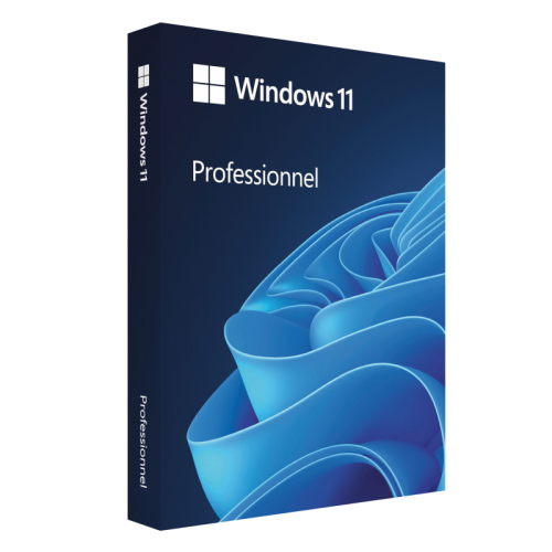 Visuel Boîte Windows 11 Professionnel - Mon Logiciel.fr